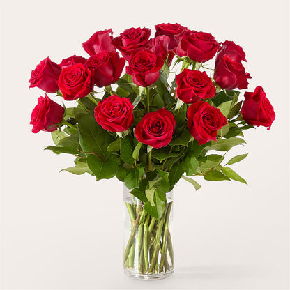The One Red Rose Bouquet – ILLUSIONS FLORAL & GIFTS LLC, Marshfield WI