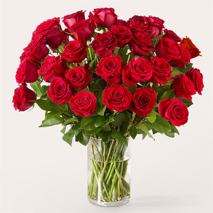 The One Red Rose Bouquet – ILLUSIONS FLORAL & GIFTS LLC, Marshfield WI