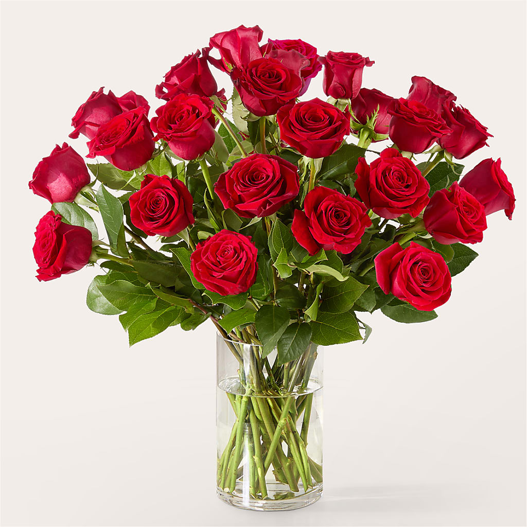The One Red Rose Bouquet – ILLUSIONS FLORAL & GIFTS LLC, Marshfield WI