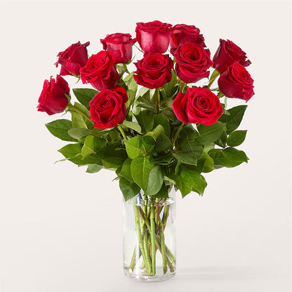 The One Red Rose Bouquet – ILLUSIONS FLORAL & GIFTS LLC, Marshfield WI