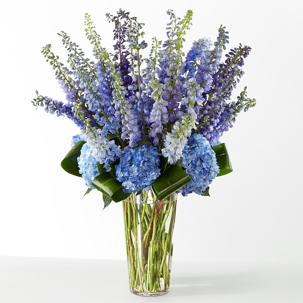 The Editorial – ILLUSIONS FLORAL & GIFTS LLC, Marshfield WI