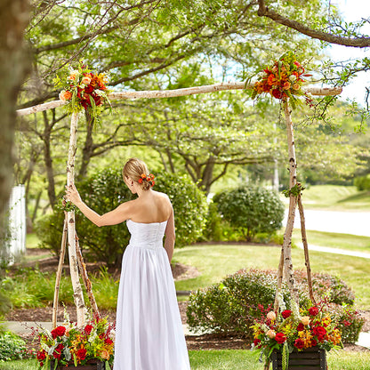 Arbor of Love Archway – ILLUSIONS FLORAL & GIFTS LLC, Marshfield WI