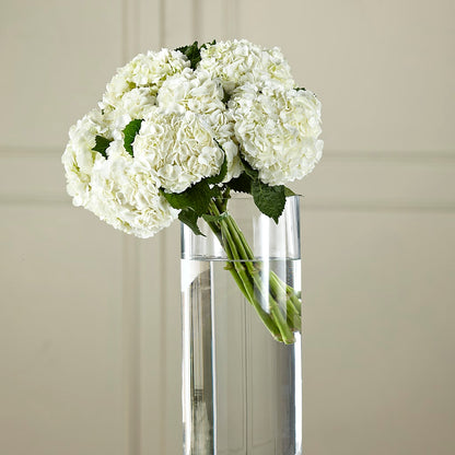 White Hydrangea Hand-Tied Bouquet – ILLUSIONS FLORAL & GIFTS LLC, Marshfield WI