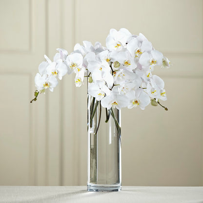 White Phalaenopsis Bouquet – ILLUSIONS FLORAL & GIFTS LLC, Marshfield WI