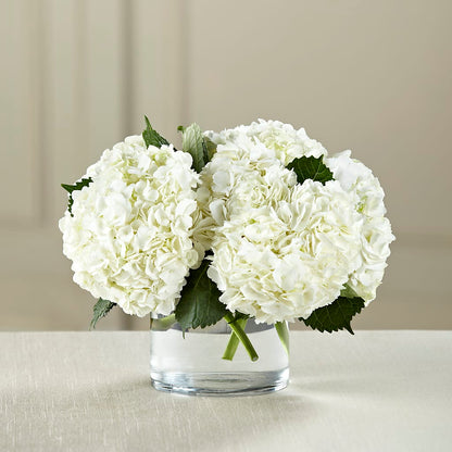 White Hydrangea Bouquet – ILLUSIONS FLORAL & GIFTS LLC, Marshfield WI