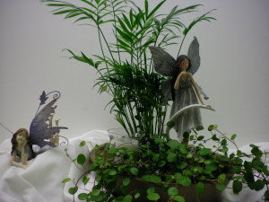 Fairy Garden